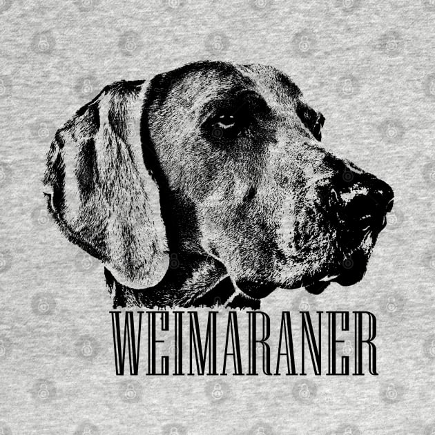 Weimaraner dog by Nartissima